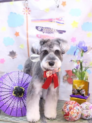 20240530ビッケくん